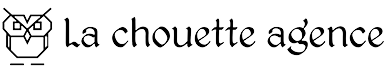 Une chouette sur fond transparent
